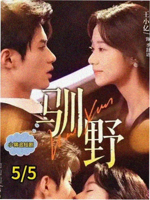 热播榜第一雾港夜航